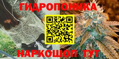 стафф Бузулук