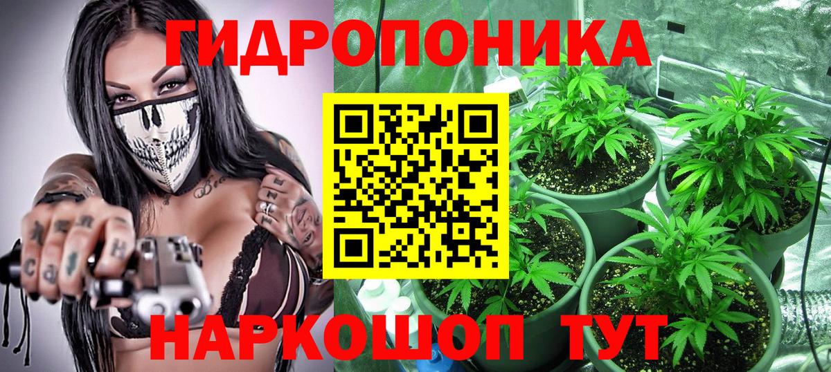 Бошки Шишки семена  Бошки марихуана планчик  Вход с VPN  Усть-Кут  Бошки Шишки White Widow 
